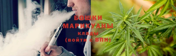 стафф Богданович