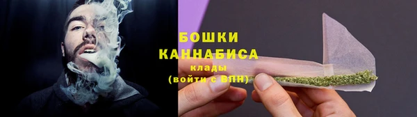 стафф Богданович