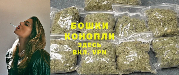 PSILOCYBIN Богородск
