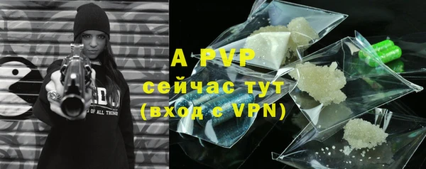 индика Бронницы